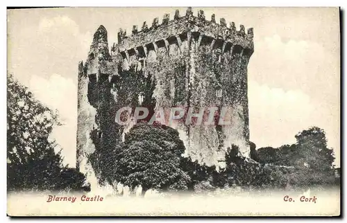 Ansichtskarte AK Blarney Castle