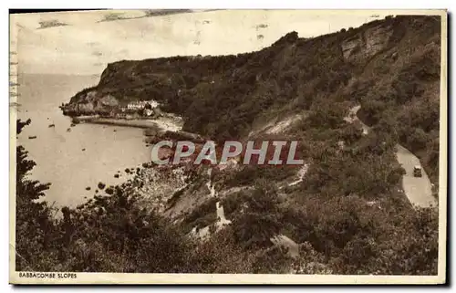 Cartes postales Babbacombe Slopes