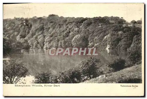 Ansichtskarte AK Sharpham Woods River Dart