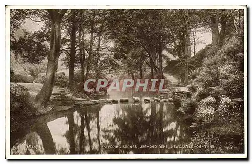 Ansichtskarte AK Stepping Stones Jesmond Dene Newcastle on Tyne