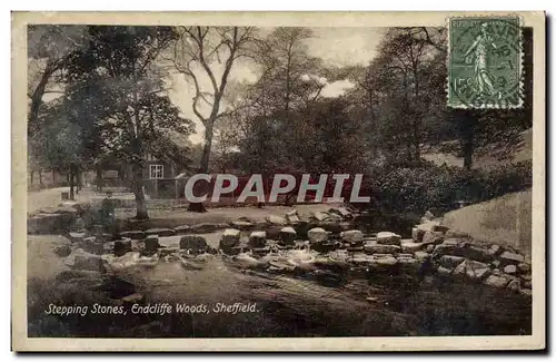 Ansichtskarte AK Stepping Stones Endcliffe Woods Sheffield