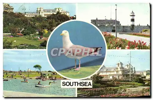 Cartes postales moderne Southsea Rock gardens The Canoe Lake