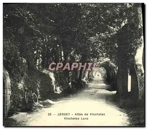 Cartes postales Jersey Allee de Vinchelez