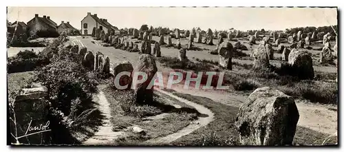 Moderne Karte Carnac Saint Monte du Menee
