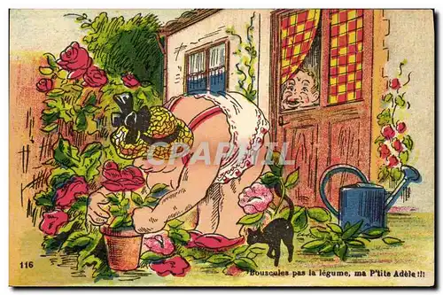 Cartes postales Bouscules pas la legume ma p tite Adele Chat