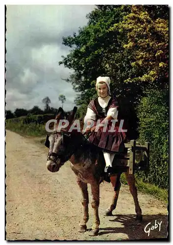 Cartes postales moderne Normandie Pittoresque En route pour traire Vache Folklore