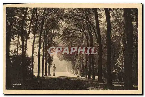 Cartes postales Versailles Allee de l ete