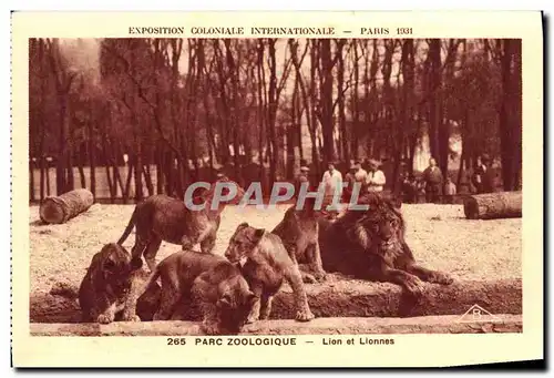 Cartes postales Exposition Coloniale Internationale Paris 1931 Parc zoologique Lion et lionnes Zoo
