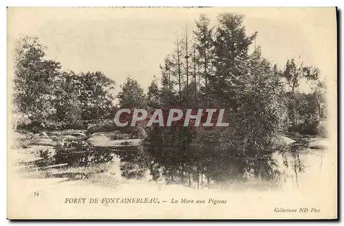 Cartes postales Foret de Fontainbleau La Mare aux Pigeons