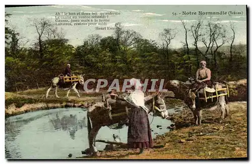 Cartes postales Notre Normandie Anes Mules