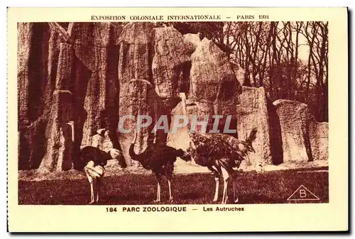 Cartes postales Exposition Coloniale Internationale Paris Parc Zoologique Les Autruches Zoo