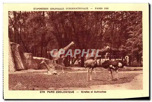 Cartes postales Exposition Coloniale Internationale Paris Parc Zoologique Girafes et Autruches