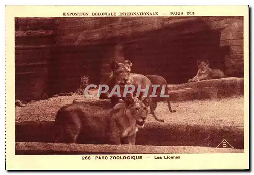 Cartes postales Exposition Coloniale Internationale Paris Parc Zoologique Les Lionnes Lions