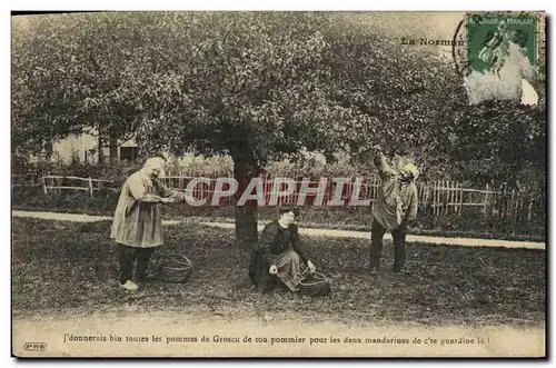 Ansichtskarte AK La Normandie Pommiers paysans Folklore Costume