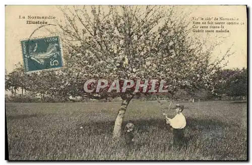 Cartes postales La Normandie lllustree Paysan Pommier Folklore