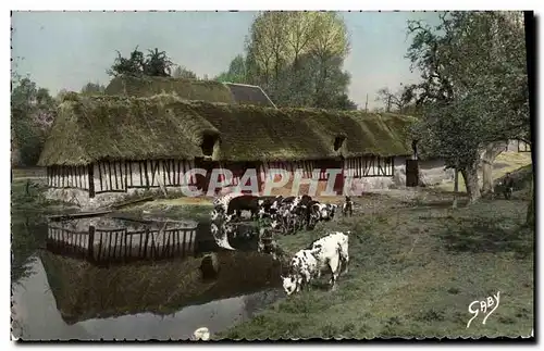 Cartes postales moderne La Normande Cour de Ferme Vaches