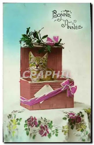 Cartes postales Bonne Annee Caht Chaton