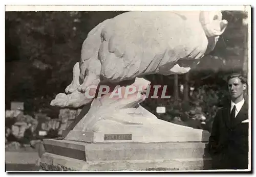 CARTE PHOTO Statue Sturbelle