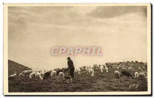 Ansichtskarte AK Les Pyrenees Paturage Berger et moutons