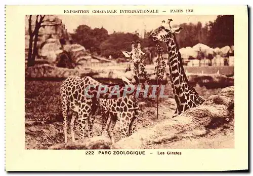 Ansichtskarte AK Exposition Coloniale Internationale Paris 1931 Parc Zoologique Les Girafes
