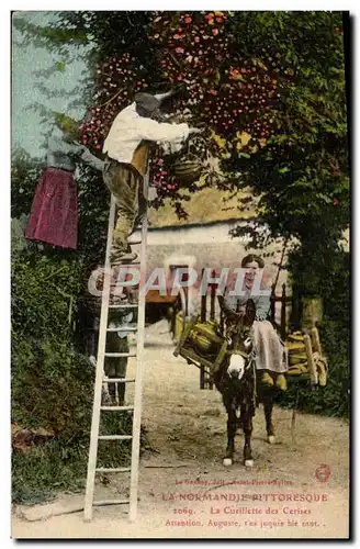 Ansichtskarte AK La Normandie Pittoresque La cueillette des cerises Folklore Ane