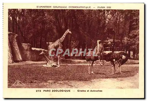 Cartes postales Exposition Coloniale Internationale Paris Parc Zoologique Girafes et Autruches Zoo