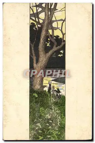 Cartes postales Paysage Sous bois Lapins