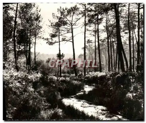 Moderne Karte La Lande Le Ruisseau dans la Foret