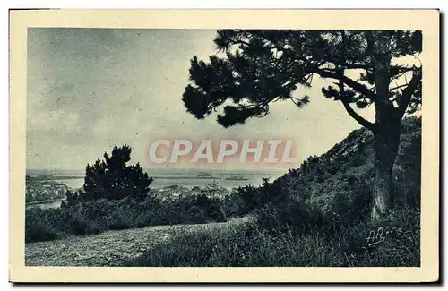 Cartes postales Cherbourg Panorama