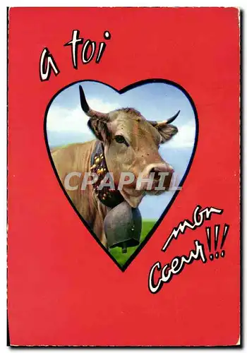 Cartes postales moderne Vache