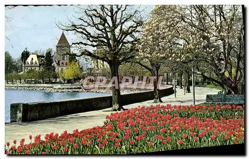 Cartes postales moderne Lausanne Ouchy Le Chateau et les Quais Fleuris