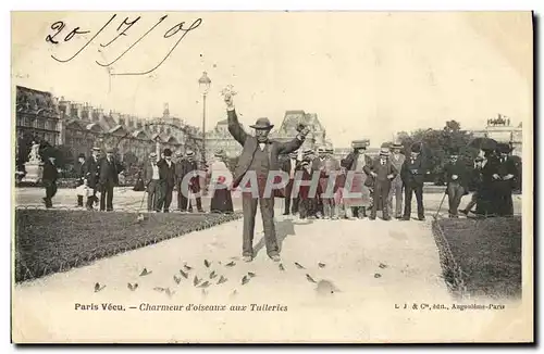 Cartes postales Charmeur d oiseaux aux Tuileries Paris