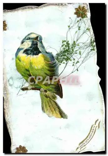 Cartes postales Fantaisie oiseau