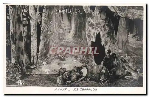 Cartes postales Fantaisie Chantecler Les crapadus Theatre Grenouilles Coq