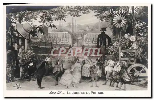 Cartes postales Fantaisie Chantecler Le jour de la pintade Poules