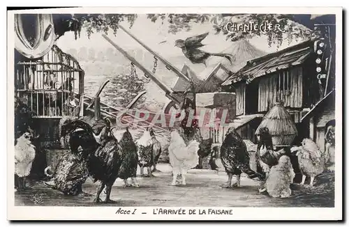 Cartes postales Fantaisie Chantecler L arrivee de la faisane theatre