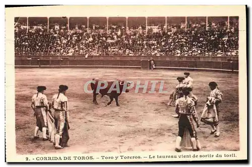 Cartes postales Sport Espagne Corrida Toro Taureau Le taureau vient de sortir du toril