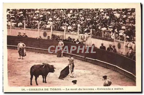 Cartes postales Sport Espagne Corrida Toro Taureau La mort du taureau Entranda a matar