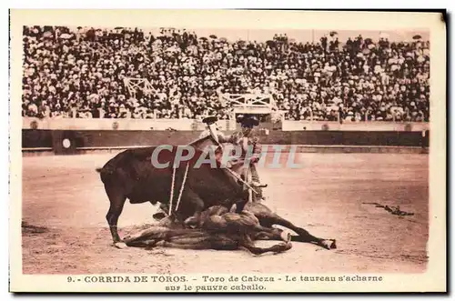 Cartes postales Sport Espagne Corrida Toro Taureau Toro de Cabeza Le taureau s acharne