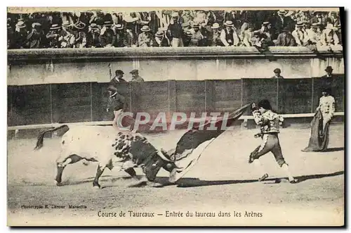 Ansichtskarte AK Sport Espagne Corrida Toro Taureau Entree du taureau dans les arenes
