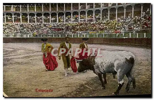 Cartes postales Sport Espagne Corrida Toro Taureau Estocado
