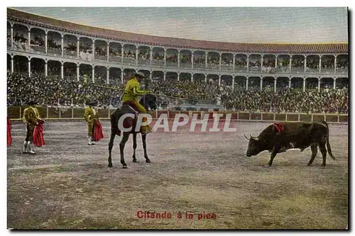 Cartes postales Sport Espagne Corrida Toro Taureau Citando a la pice
