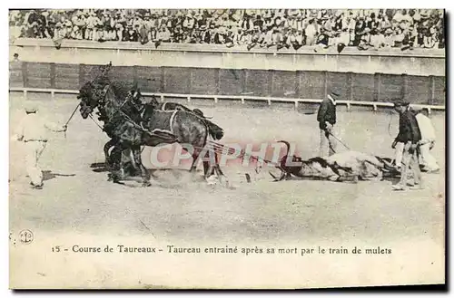 Cartes postales Sport Espagne Corrida Toro Taureau entraine apres sa mort par le train de mulets