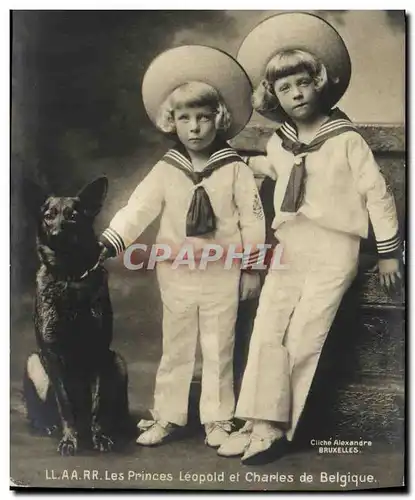 Cartes postales Les princes leopold et Charles de Belgique Chien