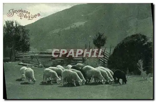 Cartes postales Paques Moutons