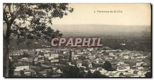 Cartes postales Algerie Panorama de Blida