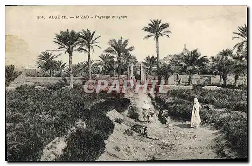 Ansichtskarte AK Algerie M Zab Paysage et type