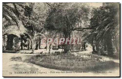 Ansichtskarte AK Algerie Hamma R Hira Petit sous bois devant le grand hotel