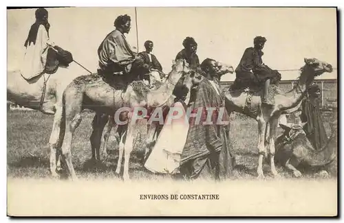 Cartes postales Algerie Environs de Constantine Chameaux