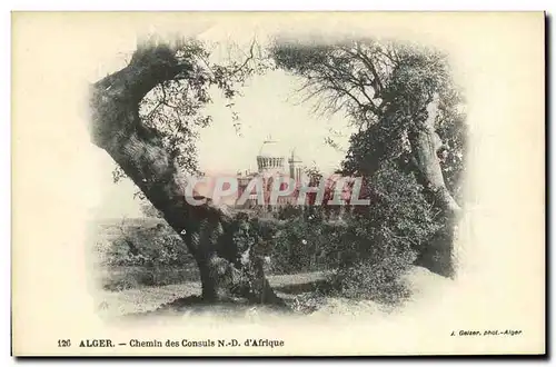 Cartes postales Algerie Alger Chemin des consuls ND d Afrique